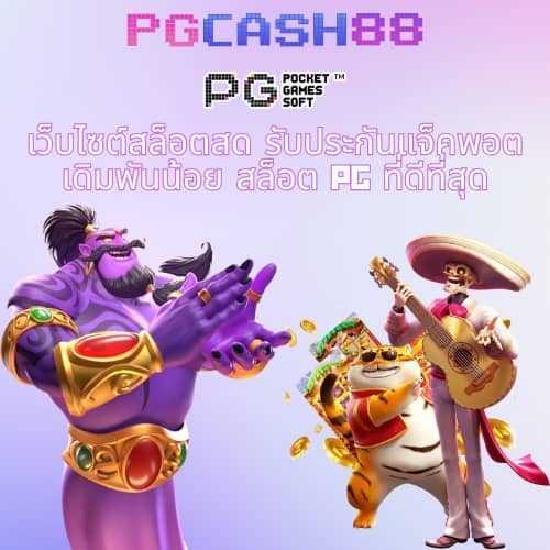 pgplay168 ทางเข้า